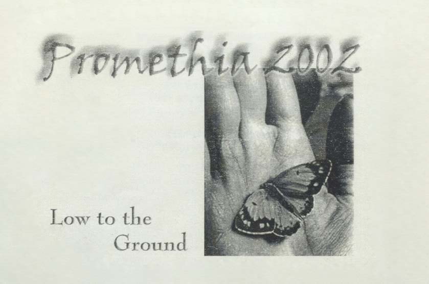 cover image for Promethia 2002