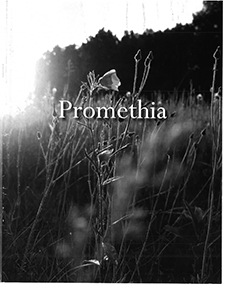 cover image for Promethia 2010