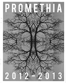 cover image for Promethia 2013